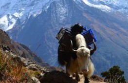Ultimate Luxury Everest Base Camp Trek